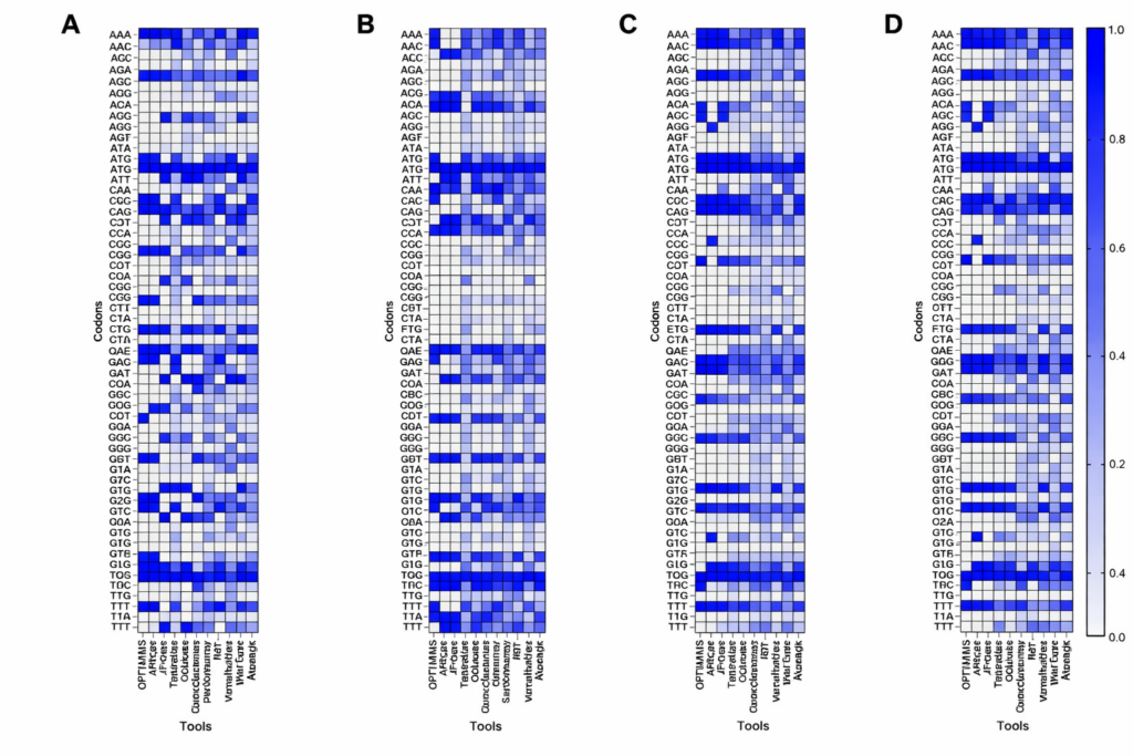 We Trained mRNA Language Models Across 25 Species for $165—Here’s How